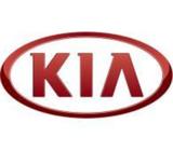 Bomba de Gasolina de Alta Presion Hyundai AccentKia Rio 20122015 / 770 g