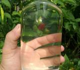 Aceite de Coco Orgánico Crudo
