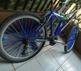 Bicicleta