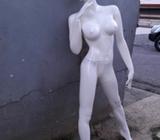 Maniquies Variedad