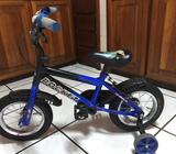 Bici Pequeña de Niño
