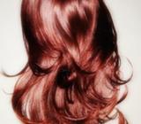 Extensiones en Cola