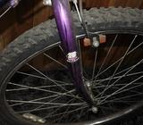 Bicicleta RAND