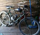 Se Vende Bisimoto