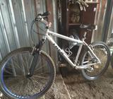 Montanbike