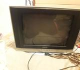 Se Vende Televisor Casi Nuebo