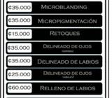 Microblanding Y Micropigmentación