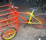 Triciclo Para Trabajo Cod T76