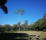 Finca Santa Teresita de Turrialba