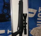 Rifle Benjamin