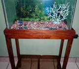 Se Vende Pecera de 10 Galones