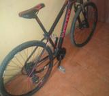 Bicicleta 29