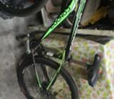 Bicicleta