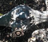 Diferencial Forward 83