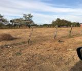 Venta Lote en Guanacaste