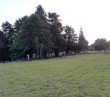 Lote listo para construir su casa o quinta en Residencial El Castillo