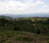 Finca El Sauce Turrialba