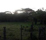 Se Vende Finca en Guanacaste