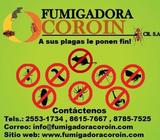 Fumigadora Coroin