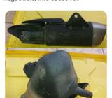 Escape Silenciador Y Catalizador R3/mt03